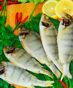 ОКУНЬ СУШЕНИЙ