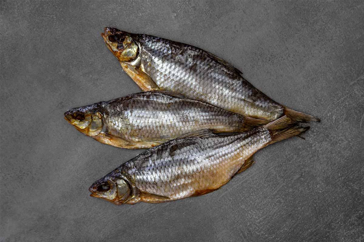 ПЛАТВА СУШЕНА